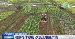 索放到渔排上吊养